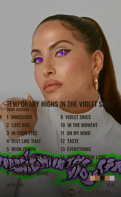Snoh Aalegra - TEMPORARY HIGHS IN THE VIOLET SKIES.jpg
